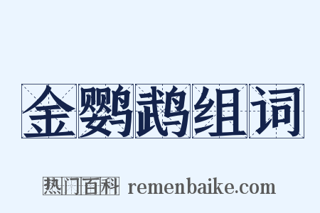 金鹦鹉组词是什么意思的图片